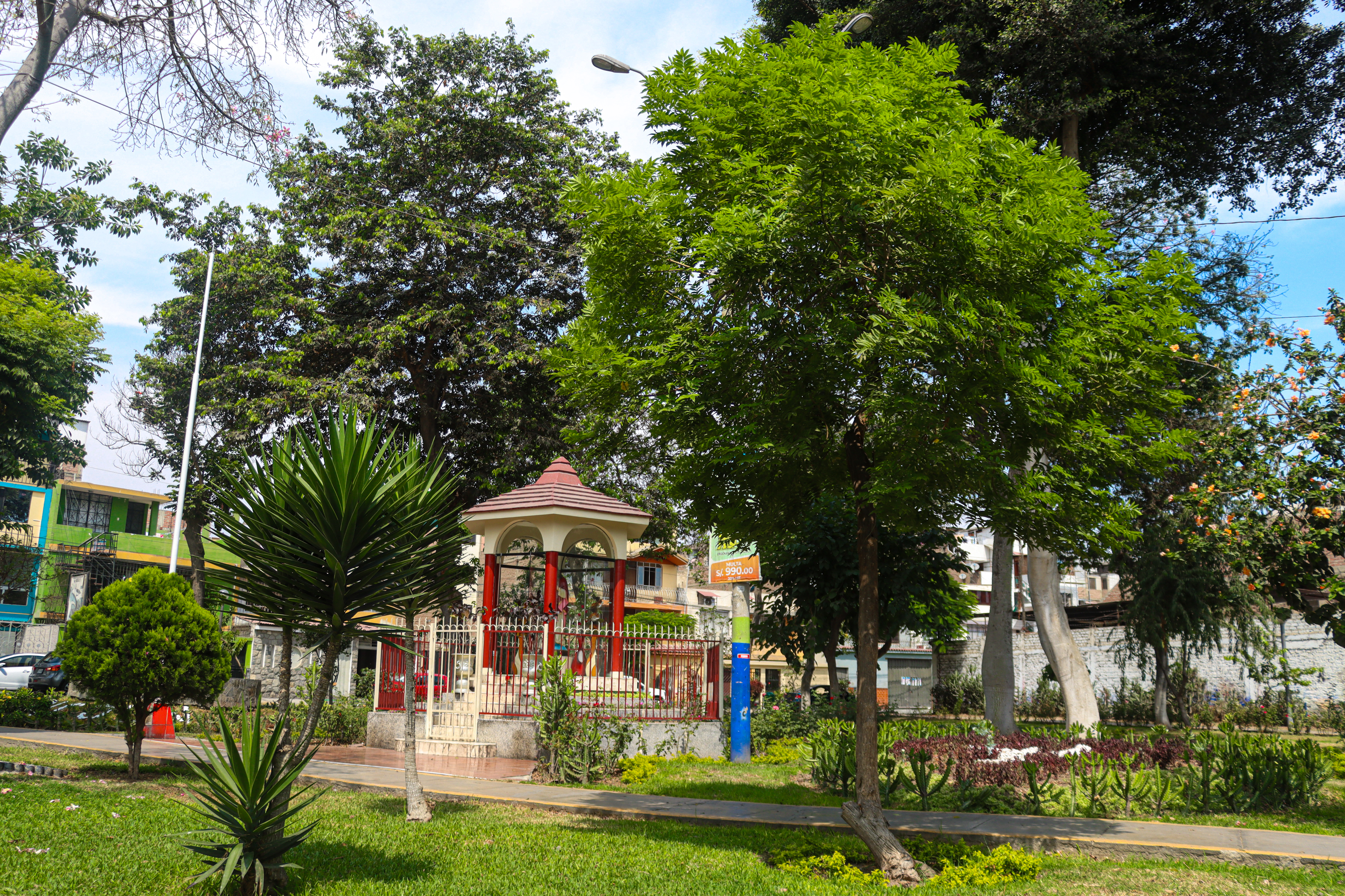Service Image